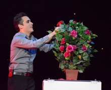 Roses For The Audience